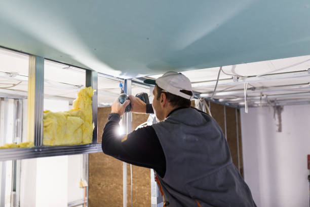 Best Cellulose Insulation in Jamestown, CA